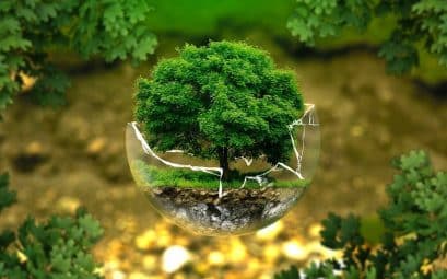 Pourquoi opter pour un reporting esg de votre entreprise ?